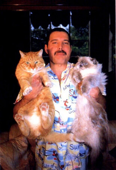 Freddie Mercury holding his cats, Oscar and Tiffany.